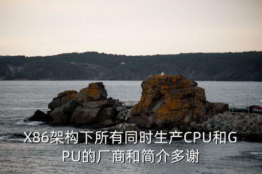 上海市威盛半導體有限公司，威盛的芯片怎么樣是做pc的還是做移動的