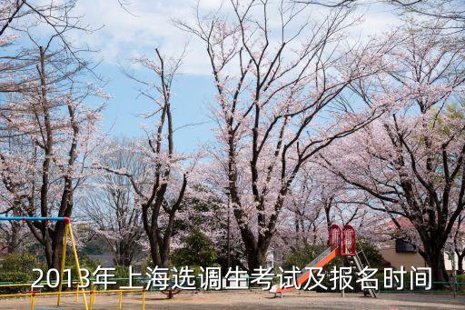2013年上海選調生考試及報名時間