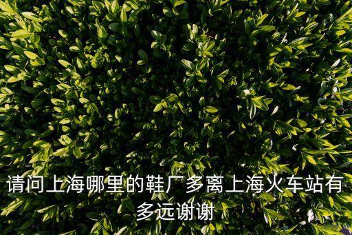 上海市有鞋廠嗎，上海有鞋廠嗎