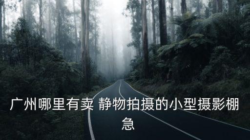 廣州哪里有賣 靜物拍攝的小型攝影棚  急