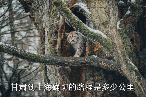 甘肅到上海確切的路程是多少公里
