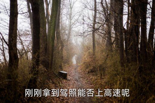 上海市剛拿到駕照能上高速嗎，剛剛拿到駕照能否上高速呢