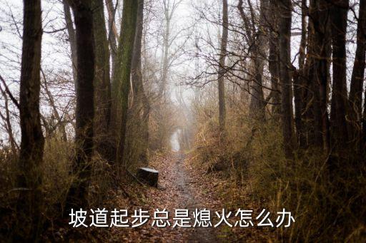 坡起熄火，科目二坡道起步熄火扣幾分