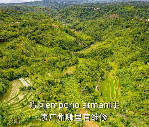 請(qǐng)問(wèn)emporio armani手表廣州哪里有維修
