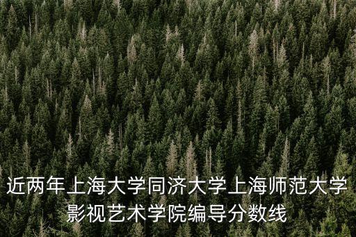 2019上海市編導平均分，上海的大學影視編導錄取分數(shù)線是多少具體點