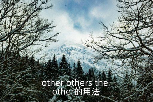 other others the other的用法