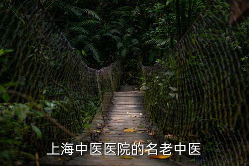 上海中醫(yī)醫(yī)院的名老中醫(yī)