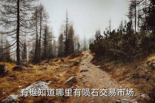 廣州哪些古玩城有賣隕石的，有誰知道哪里有隕石交易市場