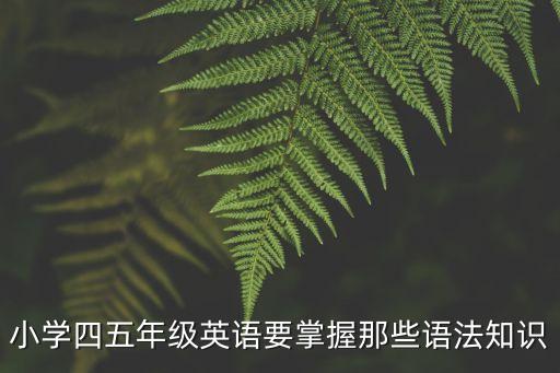 小學四五年級英語要掌握那些語法知識