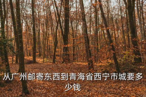 從廣州郵寄東西到青海省西寧市城要多少錢