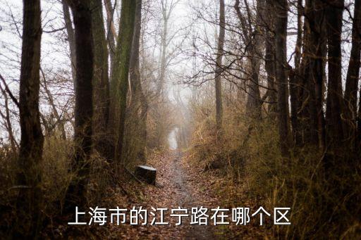 上海市寧江路哪個區(qū)，長壽路西康路和長壽路江寧路屬于上海什么區(qū)