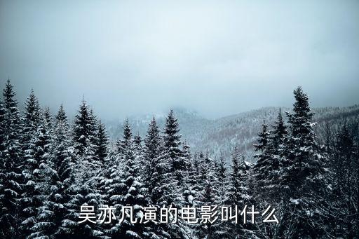 吳亦凡演的電影，吳亦凡演的電影叫什么