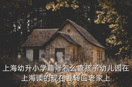上海幼升小學(xué)籍號(hào)怎么查孩子幼兒園在上海讀的現(xiàn)在要轉(zhuǎn)回老家上