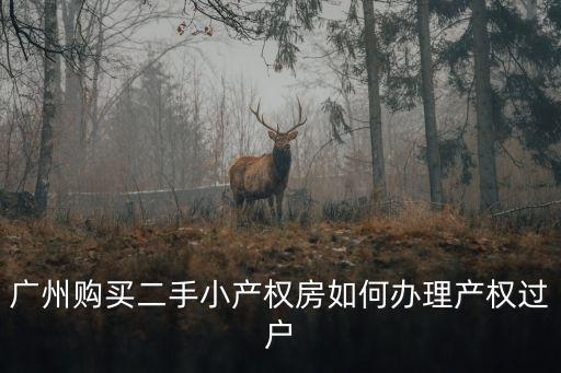 廣州購(gòu)買(mǎi)二手小產(chǎn)權(quán)房如何辦理產(chǎn)權(quán)過(guò)戶(hù)