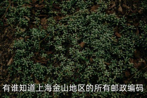 有誰知道上海金山地區(qū)的所有郵政編碼