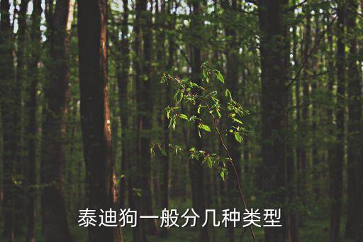 泰迪狗一般分幾種類型