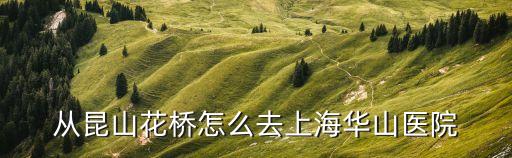 上海市華東醫院怎么去，從昆山花橋怎么去上海華山醫院