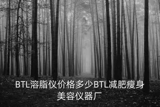 BTL溶脂儀價格多少BTL減肥瘦身美容儀器廠