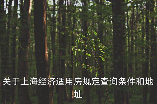 關(guān)于上海經(jīng)濟適用房規(guī)定查詢條件和地址