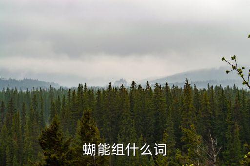 蝴組詞組，蝴蝶怎么組詞