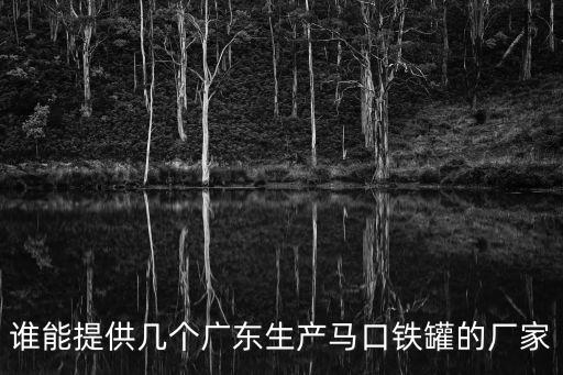 誰能提供幾個廣東生產(chǎn)馬口鐵罐的廠家