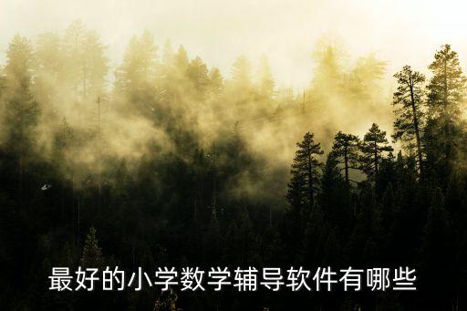 最好的小學數學輔導軟件有哪些