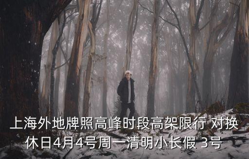 上海外地牌照高峰時段高架限行 對換休日4月4號周一清明小長假 3號