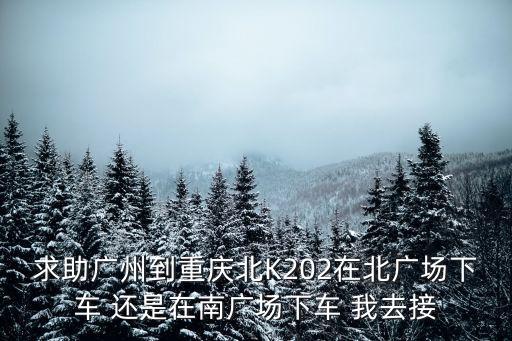 廣州南北廣場附近有沒有停車位，求助廣州到重慶北K202在北廣場下車 還是在南廣場下車 我去接