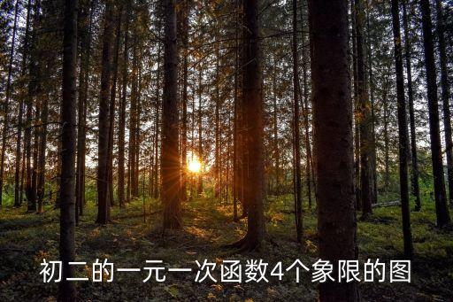 初二的一元一次函數4個象限的圖