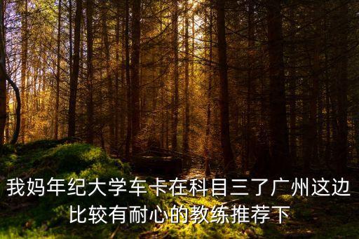 我媽年紀大學車卡在科目三了廣州這邊比較有耐心的教練推薦下
