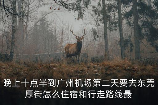 晚上十點半到廣州機場第二天要去東莞厚街怎么住宿和行走路線最