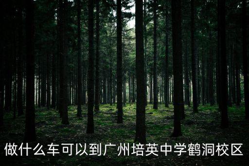 做什么車(chē)可以到廣州培英中學(xué)鶴洞校區(qū)