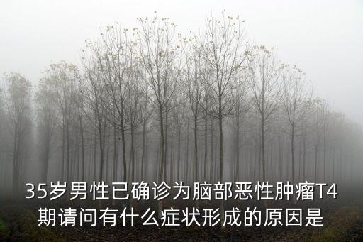 35歲男性已確診為腦部惡性腫瘤T4期請問有什么癥狀形成的原因是