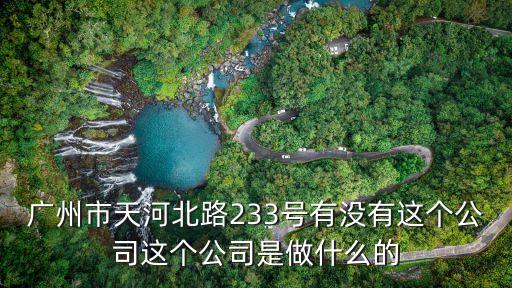 廣州市天河北路233號有沒有這個公司這個公司是做什么的