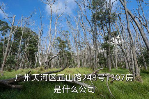 廣州天河區五山路248號1307房是什么公司