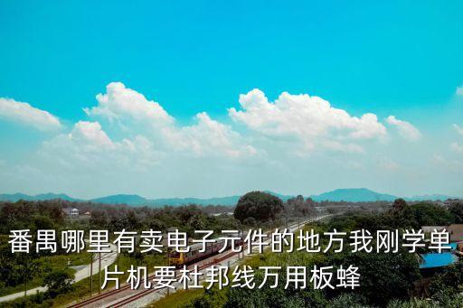 番禺哪里有賣電子元件的地方我剛學(xué)單片機(jī)要杜邦線萬用板蜂