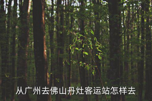 從廣州去佛山丹灶客運站怎樣去