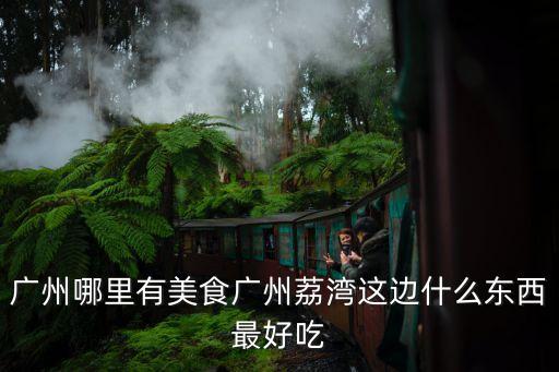 廣州荔灣海南村快餐，廣州省廣州市荔灣區赤崗西約482號