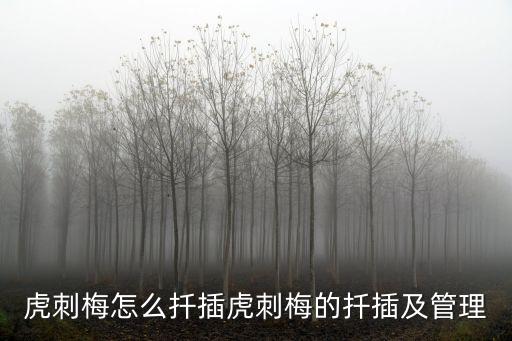 刺梅怎么扦插，在別人那拿的刺梅的枝 怎么生根