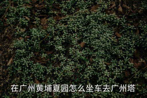 在廣州黃埔夏園怎么坐車去廣州塔