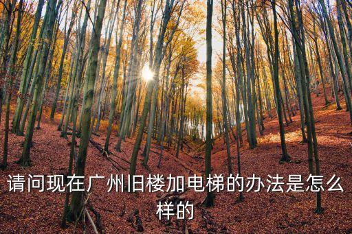 請問現在廣州舊樓加電梯的辦法是怎么樣的