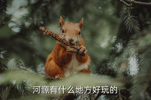廣州花園電廠，哪里有好玩的