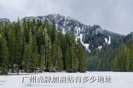 廣州石化石油殼牌，求問廣州車友殼牌加油站的油品如何