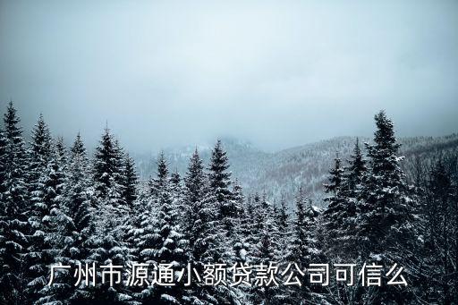 廣州入駐于明遠淘小鋪靠譜嗎，在廣州的商家說可以在他那裝正版軟件靠譜嗎