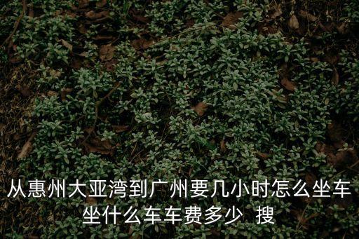 從惠州大亞灣到廣州要幾小時怎么坐車坐什么車車費多少  搜
