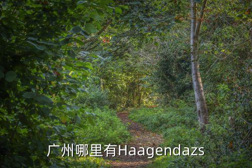 廣州哪里有Haagendazs