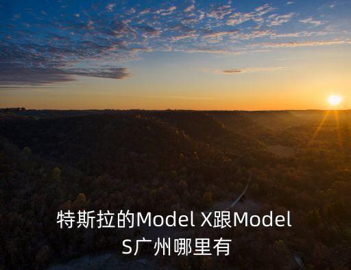 特斯拉的Model X跟Model S廣州哪里有