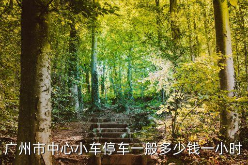 廣州市中心小車停車一般多少錢一小時
