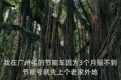 廣州節能牌車主還能搖號嗎，廣州中了節能車牌號還可申請普通車牌嗎