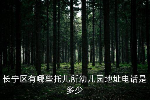 上海市愚園路第一幼兒園的特色，上海筑波巴黎三座城市的特色 特色要素